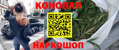 индика Нальчик