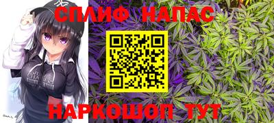 индика Нальчик
