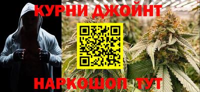 индика Нальчик