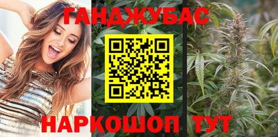 индика Нальчик