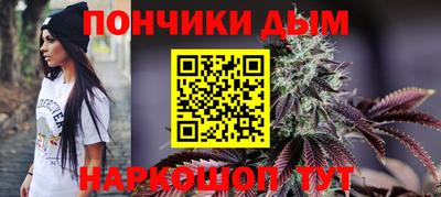 индика Нальчик