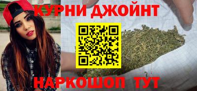 индика Нальчик