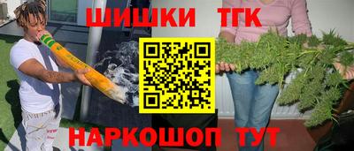индика Нальчик