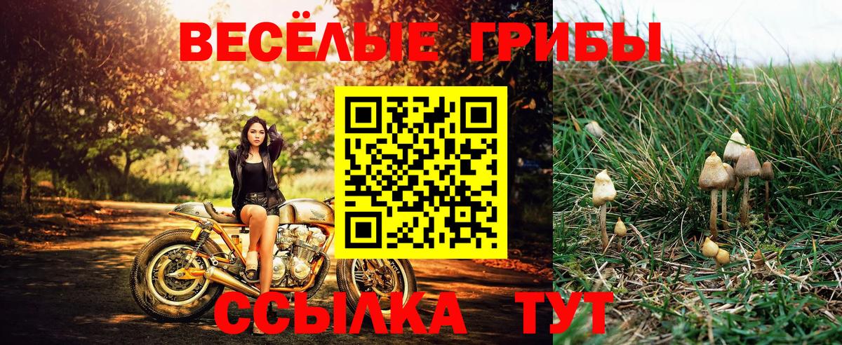Петрозаводск  дарнет шоп  Вход с VPN  Галлюциногенные грибы MAGIC MUSHROOMS 
